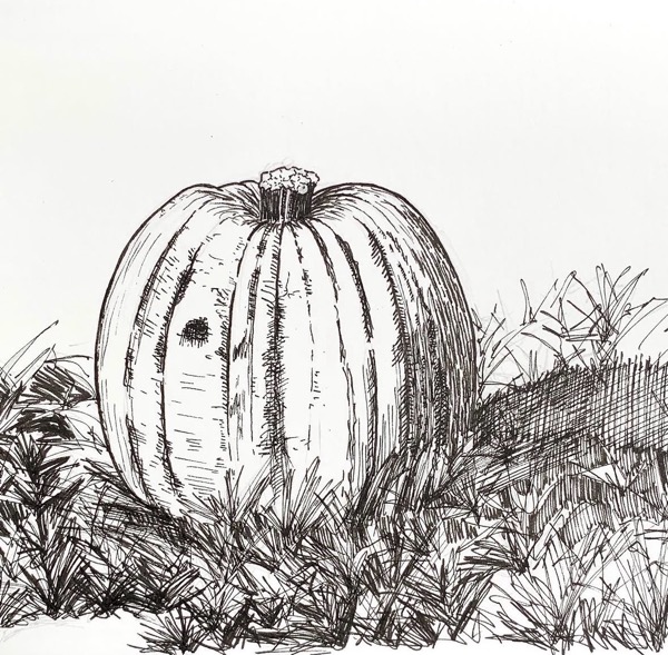 Pumpkin